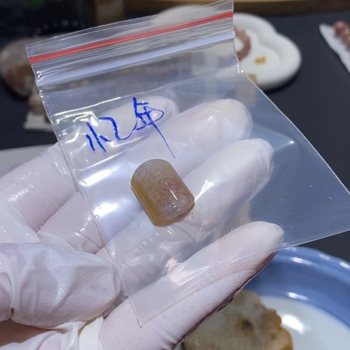 【闪购商品】未镶嵌珊瑚玉硅化玉忆****/