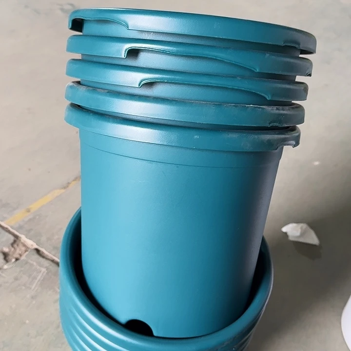 缺口5#口径29军绿5个无托