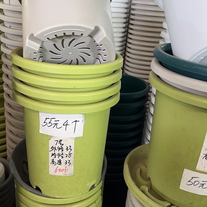 微瑕7#口径33无托果绿6个