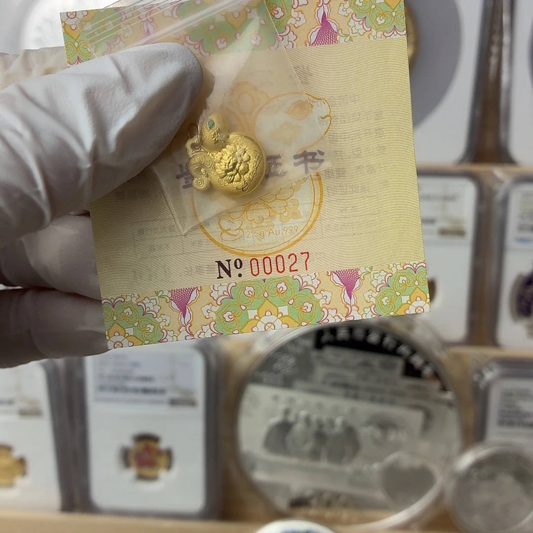 纯金2025年花蛇迎财金章2.5克