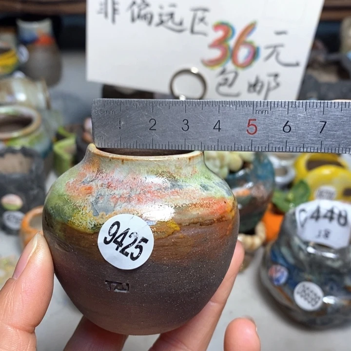 拍5送一个小礼物花盆