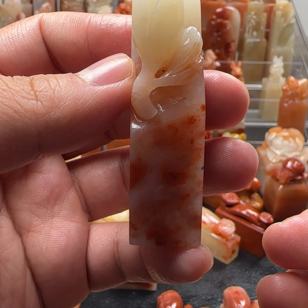 老挝石玉兰 1.7×6.3