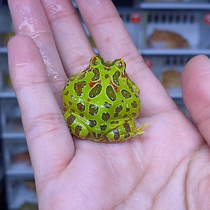 特价秒杀现货白银超