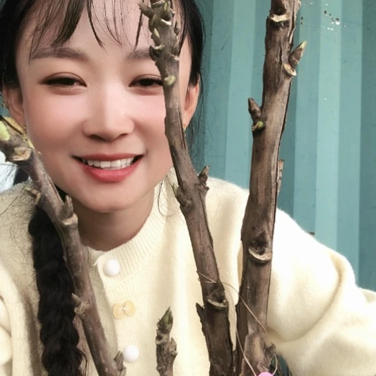 完全开放杨贵飞三枝条