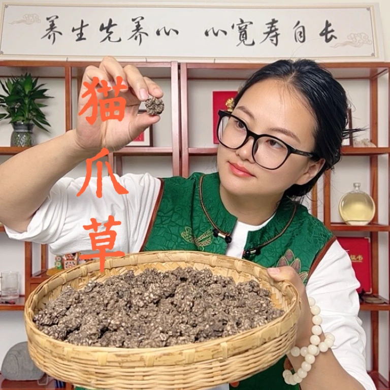 [小清]夏至枸杞 猫爪草