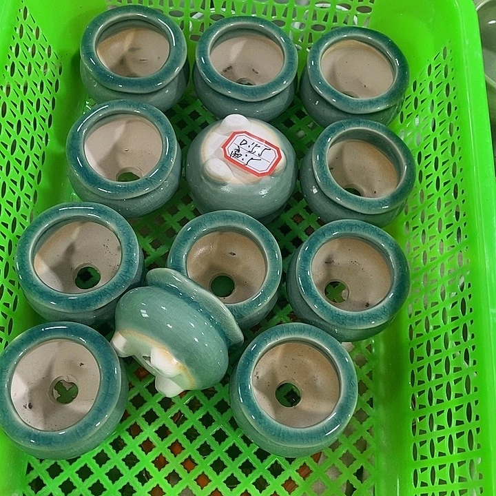 花盆抢购清货马上开始