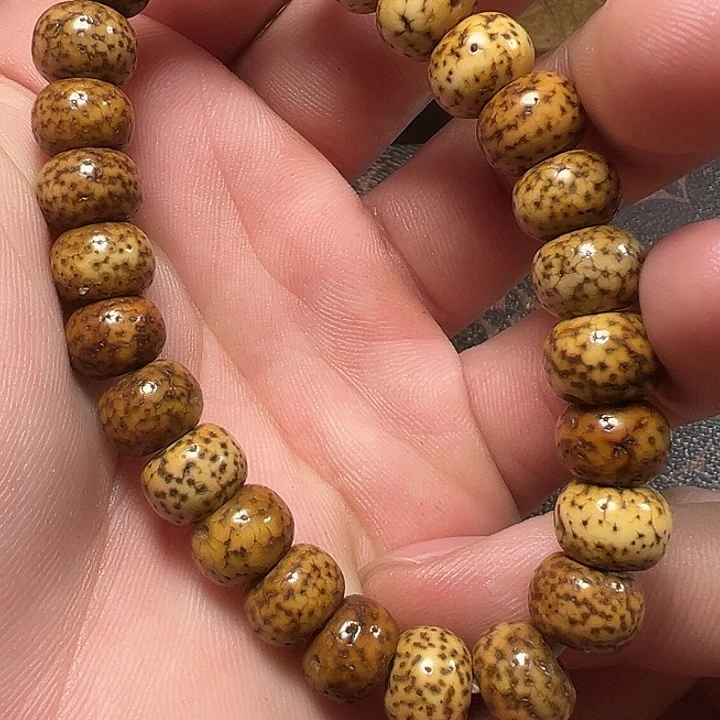 我们都是在这里看到的哈