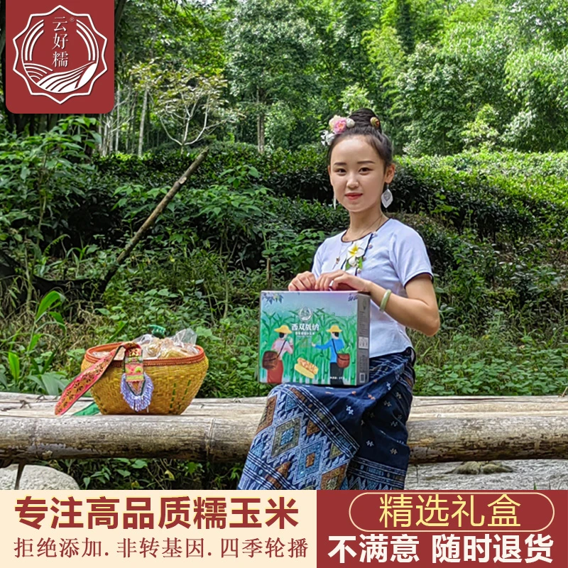 云好糯云南糯玉米棒西双版纳香糯小花糯新鲜真空粘黏包谷甜糯早餐