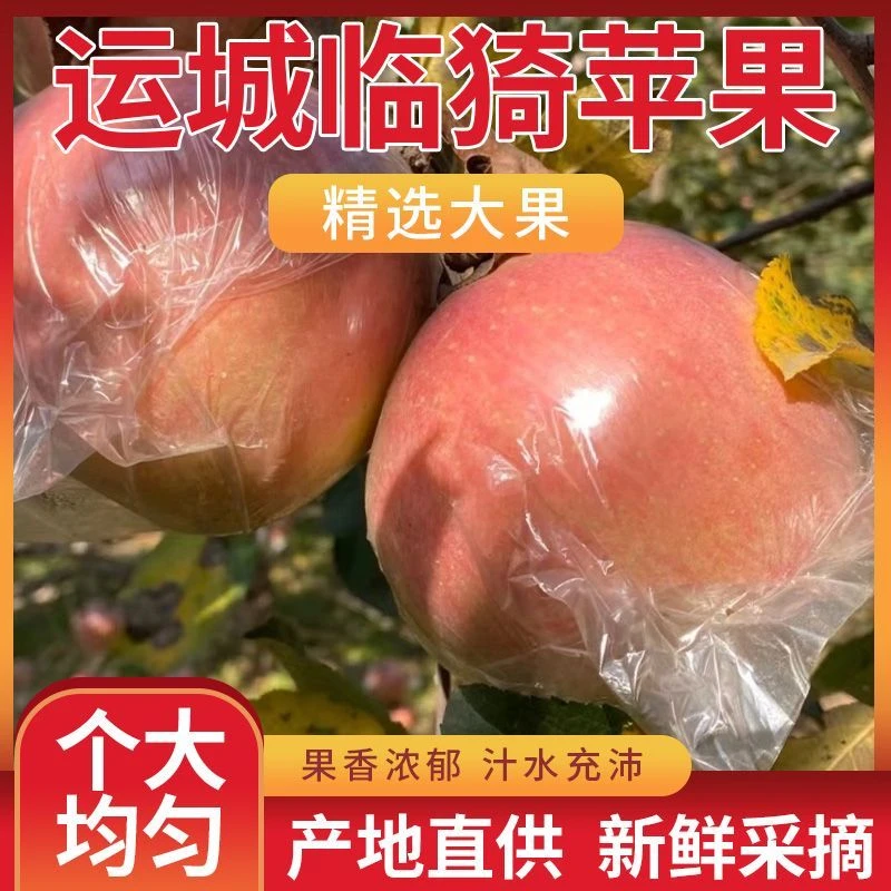 【脆甜】正宗山西冰糖心红富士脆甜丑苹果当季新鲜水果
