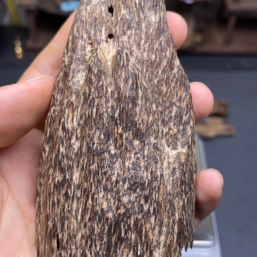 10克海南大山老野料