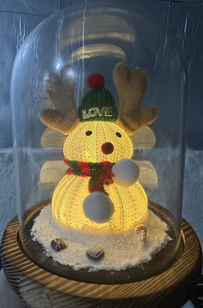 真实海胆小夜灯  手工可爱情侣创意发光圣诞节