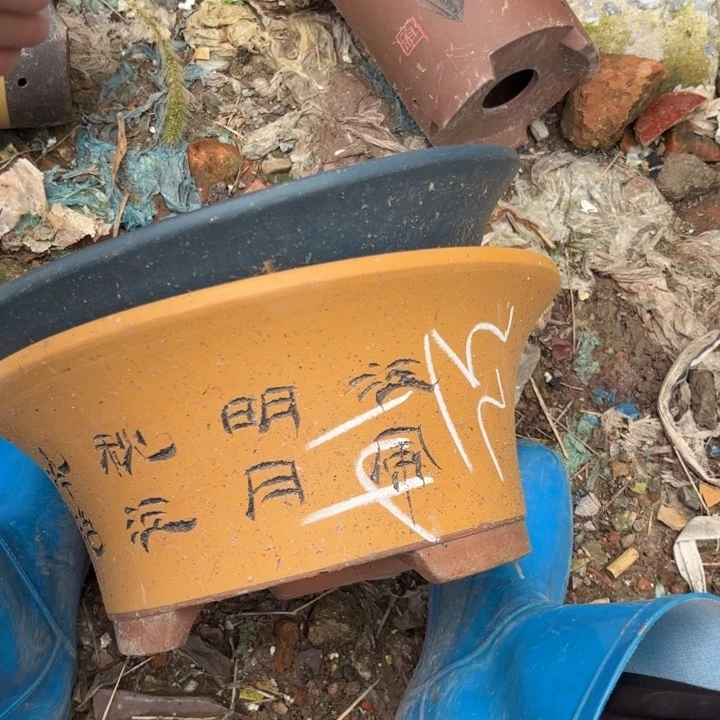 紫砂花盆紫砂的花