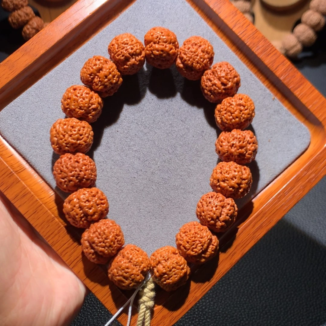 手串金刚菩提19巨肉蜂王