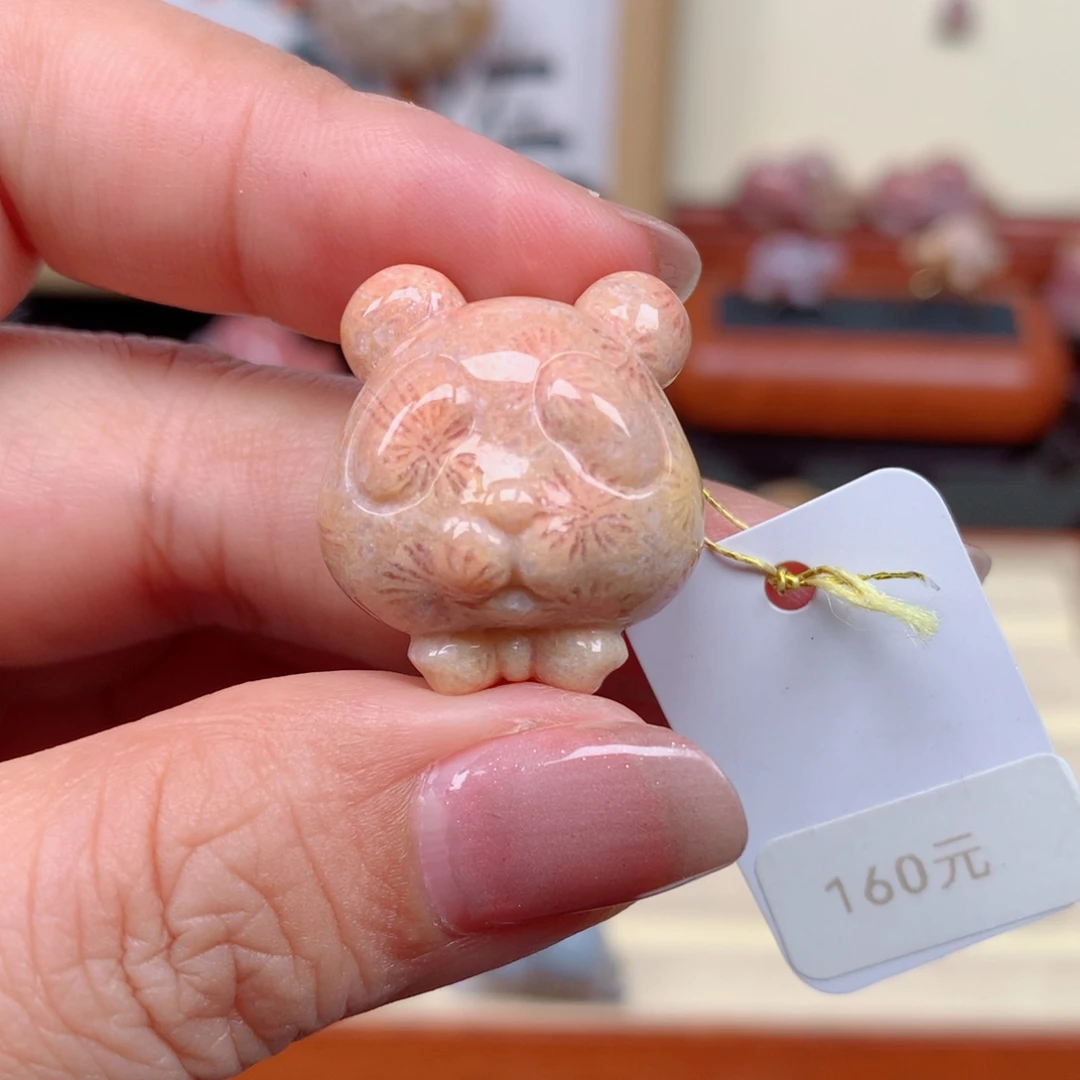 硅化玉珊瑚玉未镶嵌