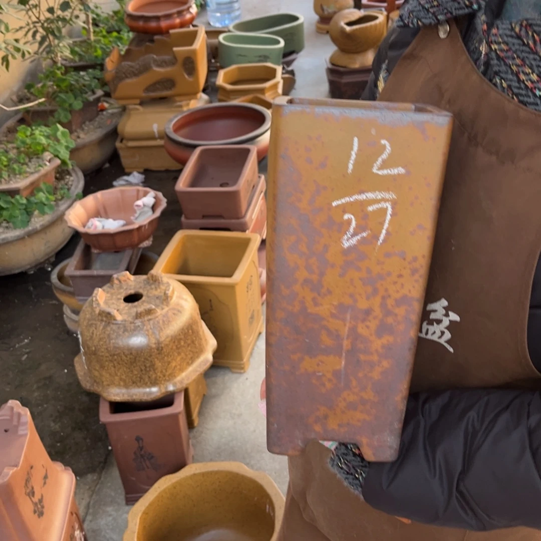 紫砂花盆盆景艺术