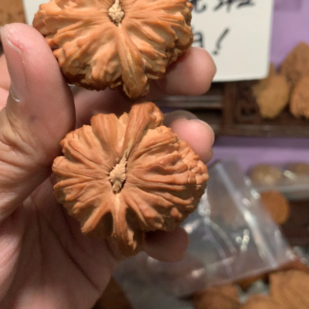 文玩核桃把件予**-秋词哥专拍白狮子