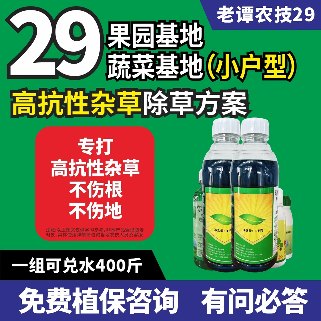 老谭农技29蔬菜果园基地高抗性杂草除草方案小户型牛筋草马唐狗尾