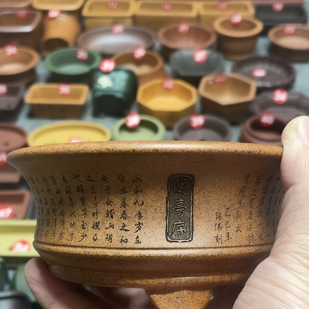 紫砂小盆11*4.5cmmmmm