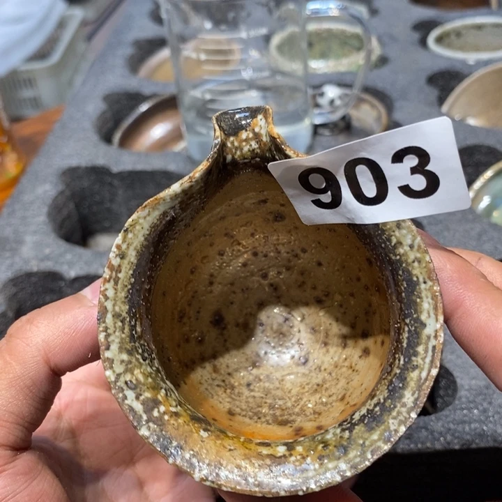 茶盏大**怕啦啦啦啦啦啦啦903