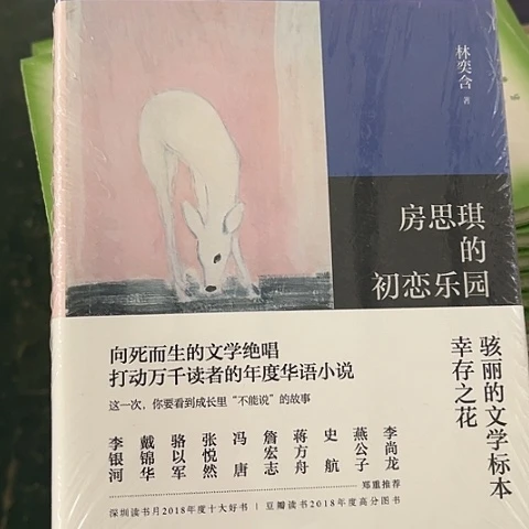 房思琪的初恋乐园11闪购  精装