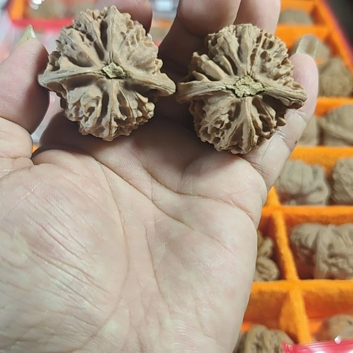 文玩核桃吊坠宫灯全品
