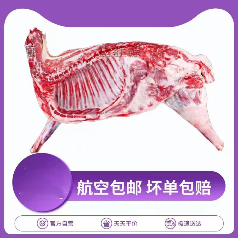 空运包邮宁夏散养滩羊肉5-10斤半只羊宁夏滩羊新鲜现宰