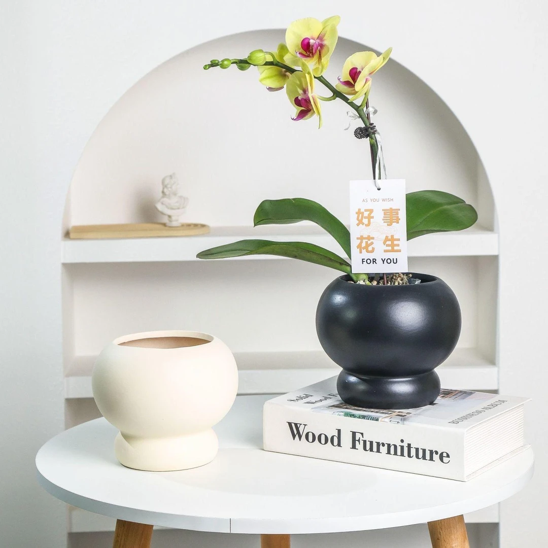 巴黎寂宅风蝴蝶兰圆球花盆套盆高脚兰花盆透气家用客厅卧室带托盘