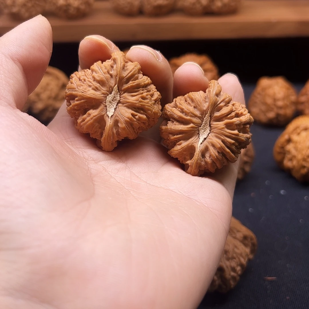 小***菌核桃把件密纹40全品