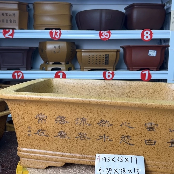 紫砂花盆蛇年大吉