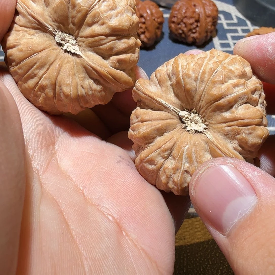 文玩核桃把件南瓜