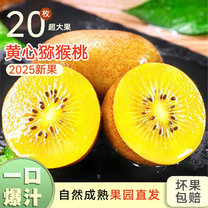 正宗黄心猕猴桃当季新鲜水果黄金奇异果果园现摘现发软糯香甜