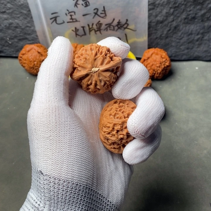 大****核桃等经济林果地