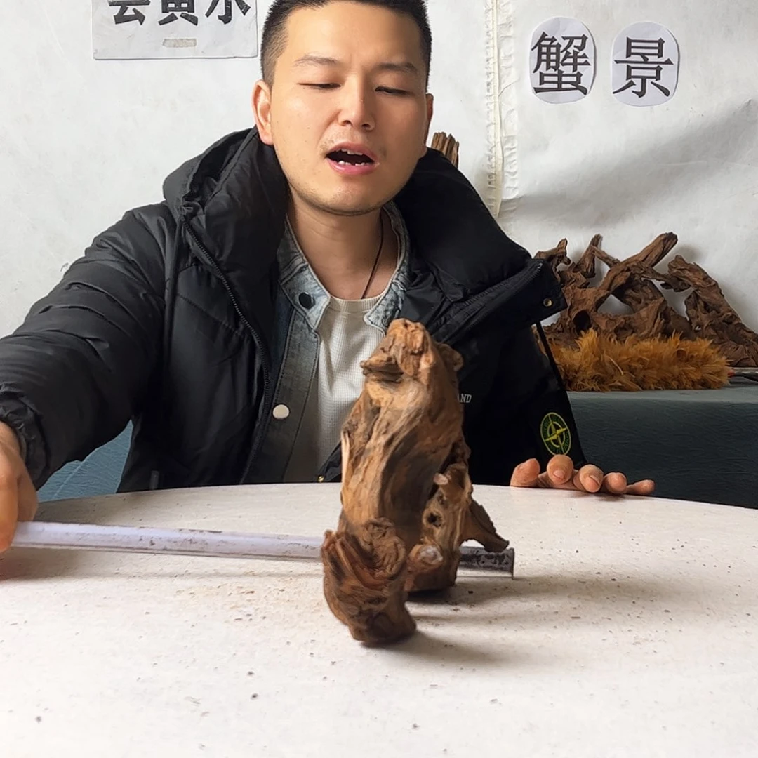 21.18.11 沉木造景爬宠造景