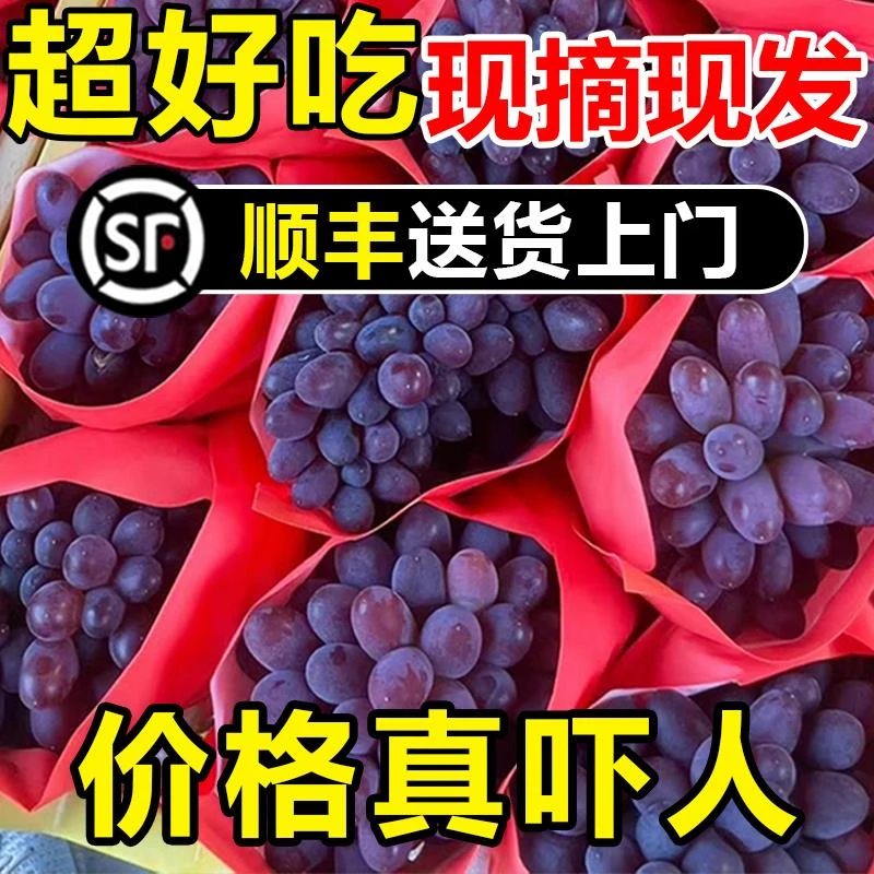 现摘茉莉香葡萄整箱应季新鲜水果孕妇郁金香甜玫瑰香无籽提子