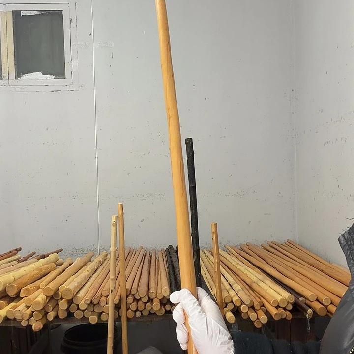 秋***果秦岭石山红荀子鞭杆