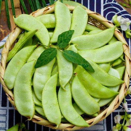 新鲜湖南肉扁豆农家种植，当天采摘当季新鲜