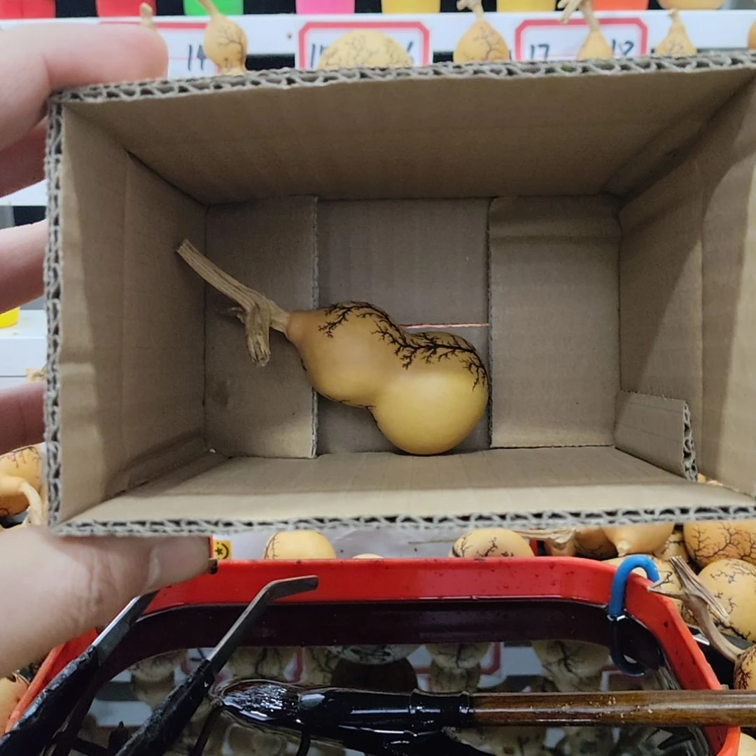 强*天然葫芦电击葫芦