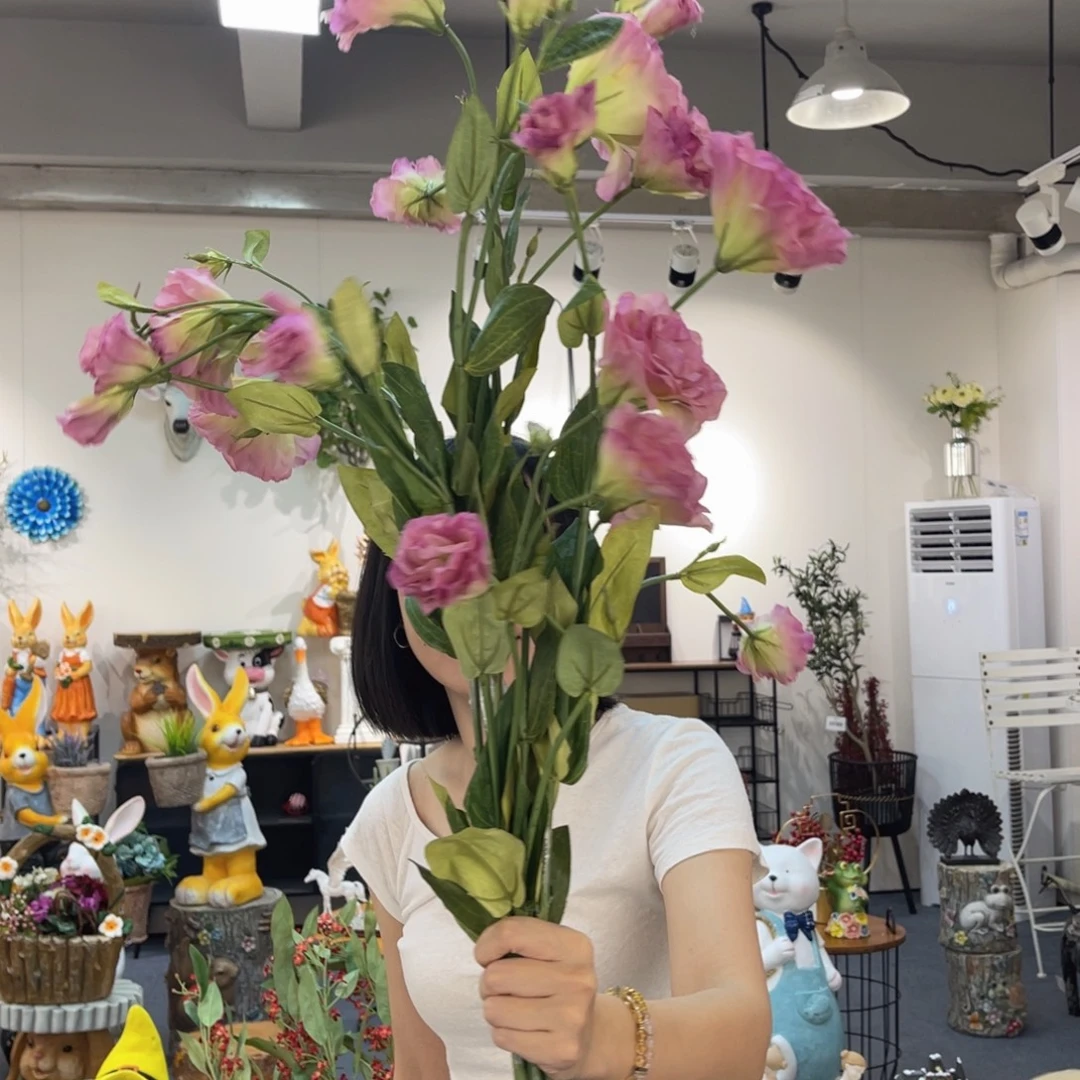 瓷片哈哈哈哈哈哈哈哈哈