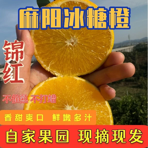 2025麻阳冰糖橙橙王纯甜新鲜水果自家种植现摘现发皮薄甜橙