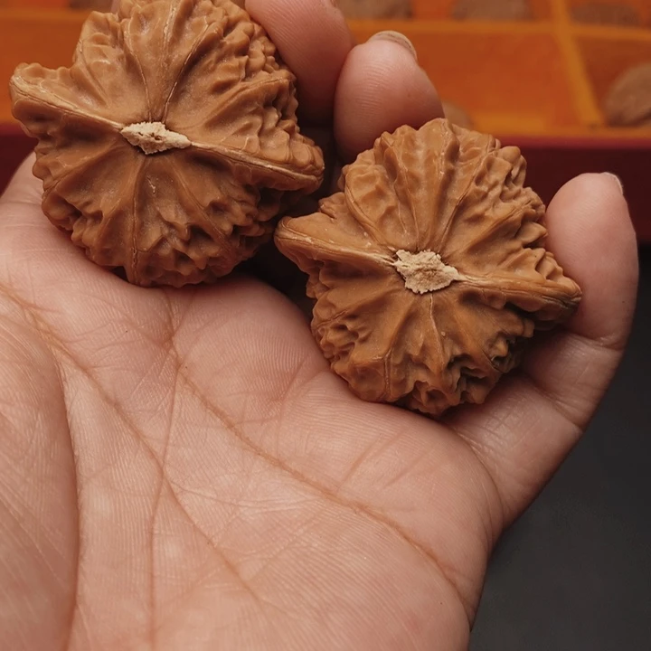 核桃宫灯42尺核桃