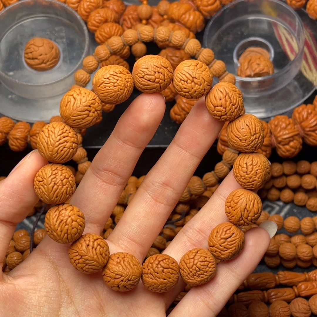 木质类秦岭核桃凤尾