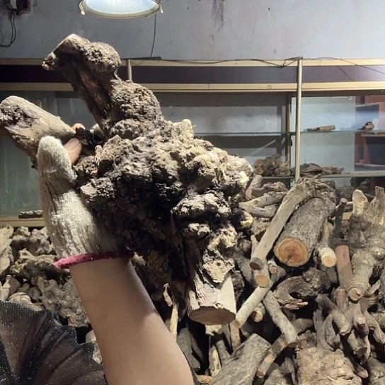 香榧木凉火琉璃的故事毛料