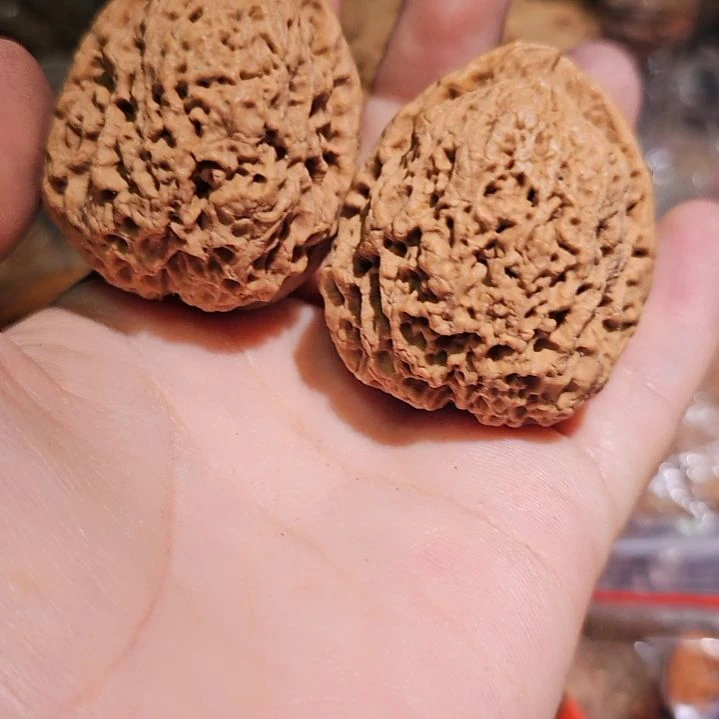 文玩核桃吊坠37金蝉