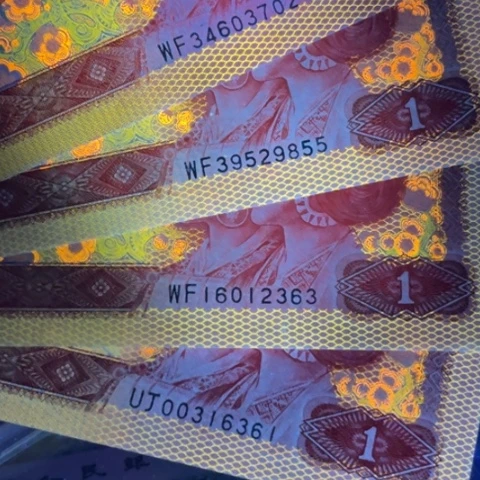 静*离第四版金麟圣龙单张4张