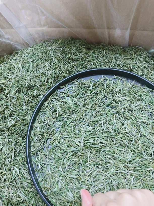 东至县木塔小黄芽高品绿茶茶叶办公室高级茶叶