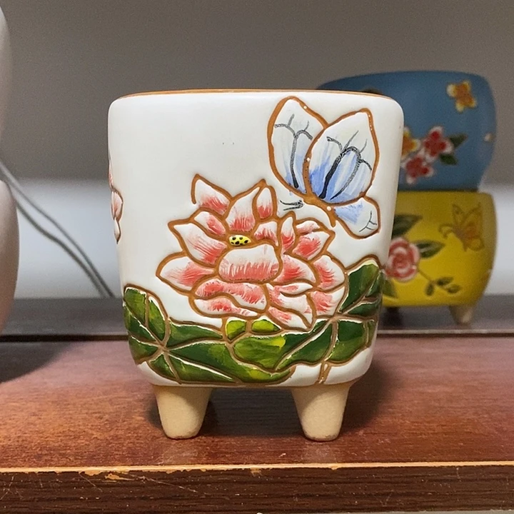 韩式多肉植物花盆