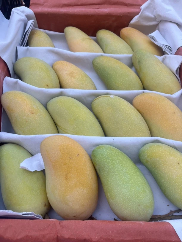 正宗海南水仙芒果当季新鲜水果核薄无丝清甜可口