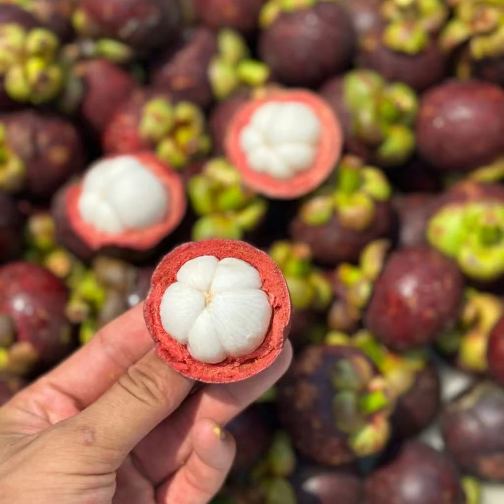 泰国3A山竹，9.9元一斤