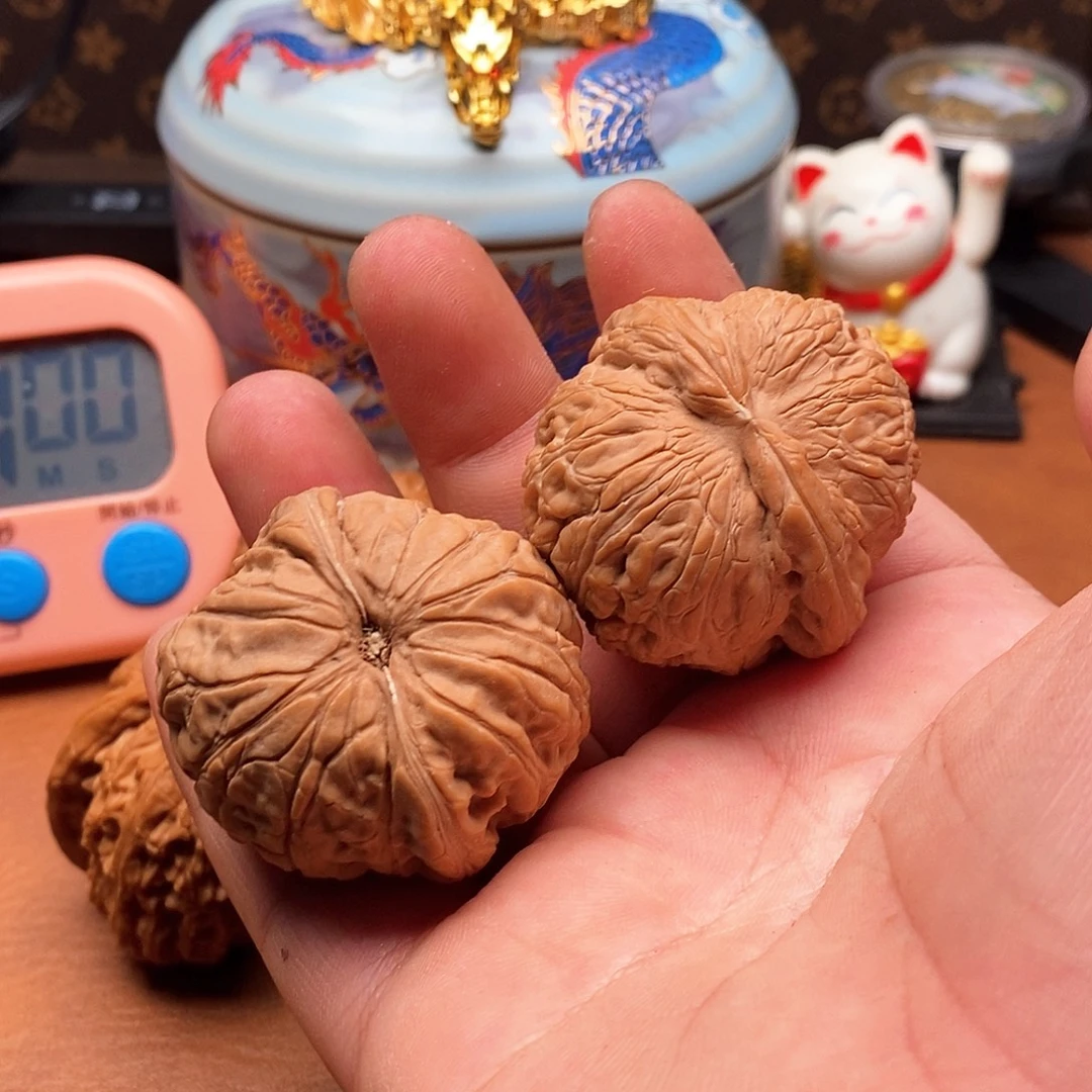 我是一只小小鸟地域鬼