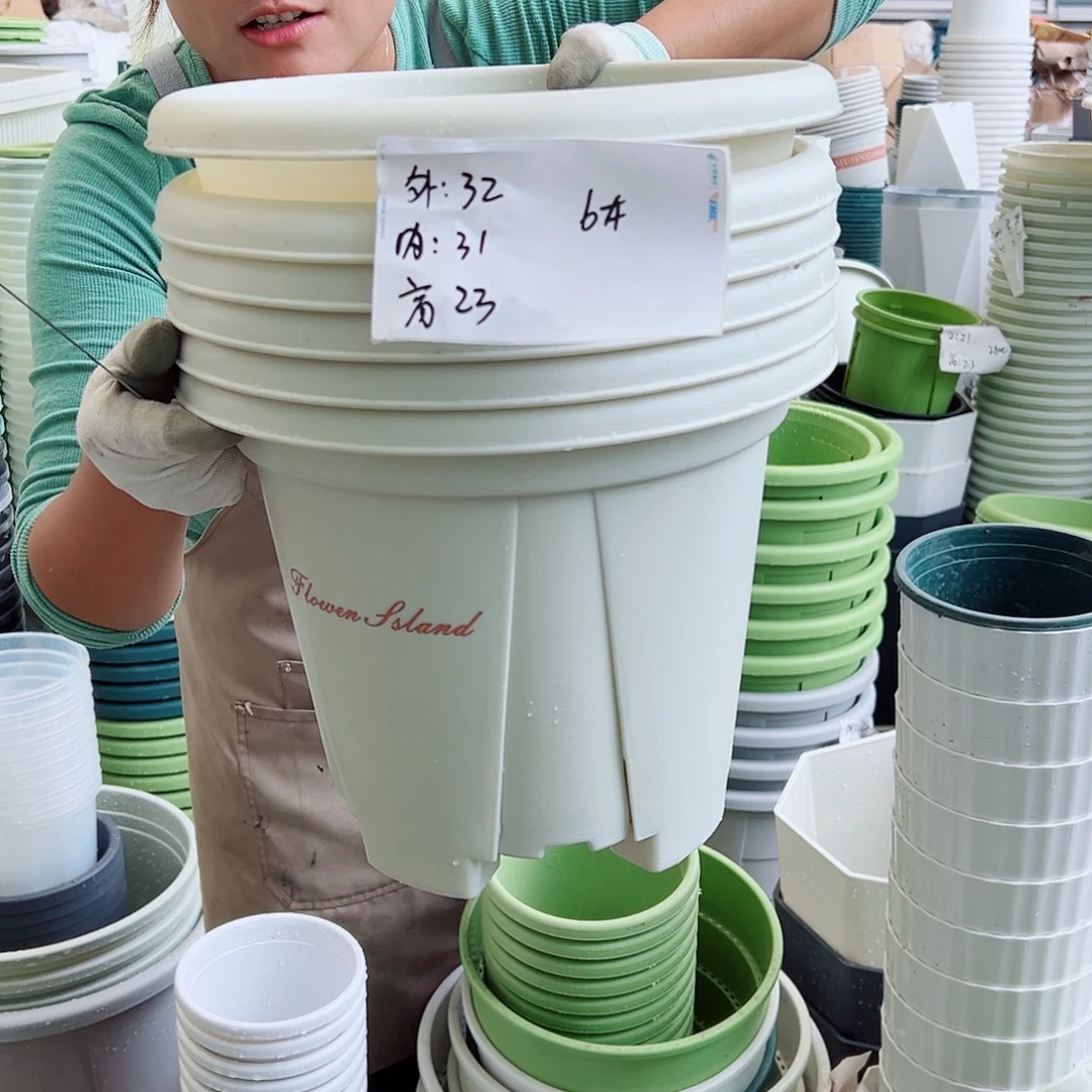 青山盆6#米白色5个无托
